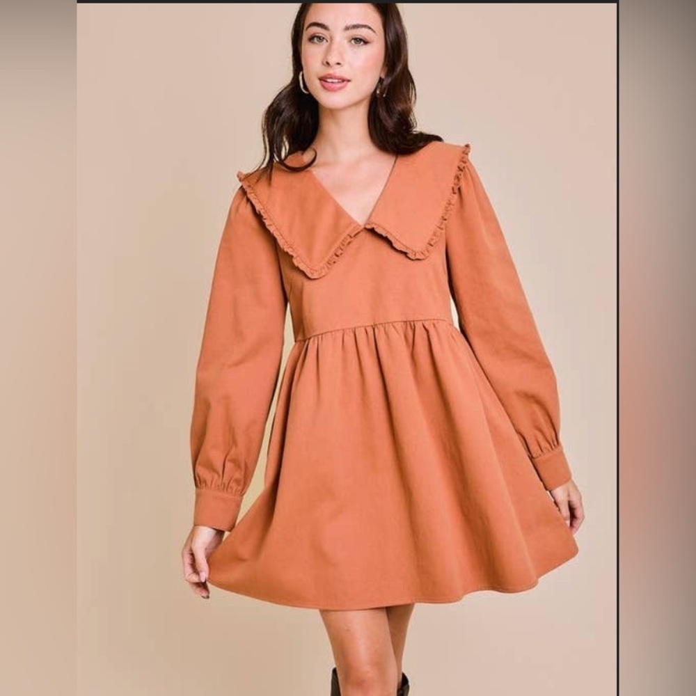 Le Lis NWT Cinnamon/Burnt Orange Babydoll Style Long Sleeve Dress